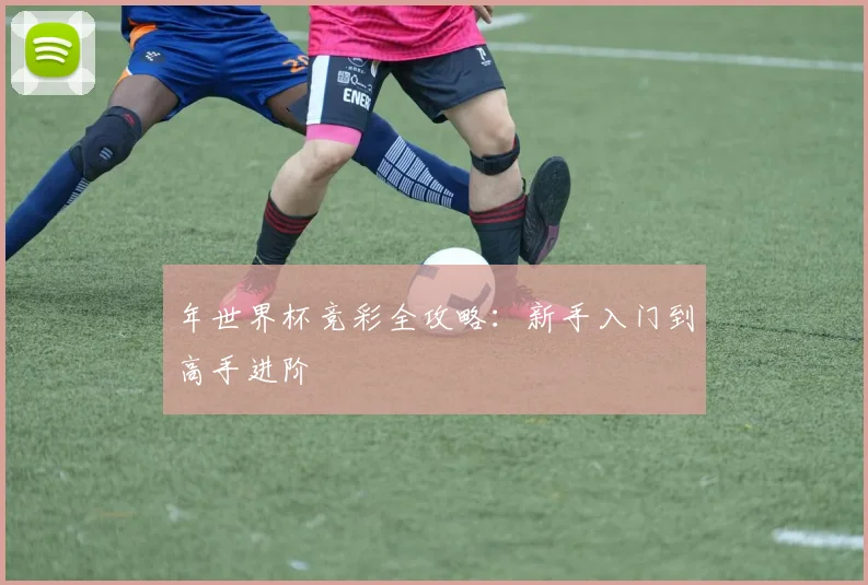 年世界杯竞彩全攻略：新手入门到高手进阶
