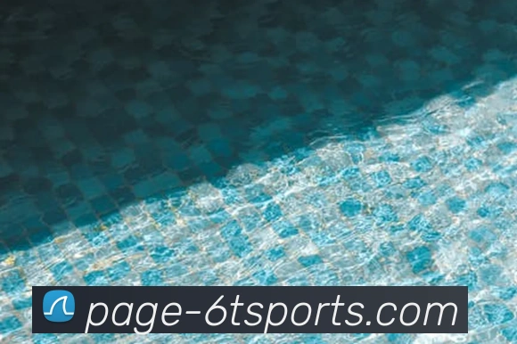 6T体育平台生态图